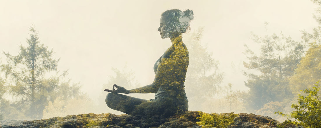 Mudras: Bedeutung, Ursprung & moderne Sicht